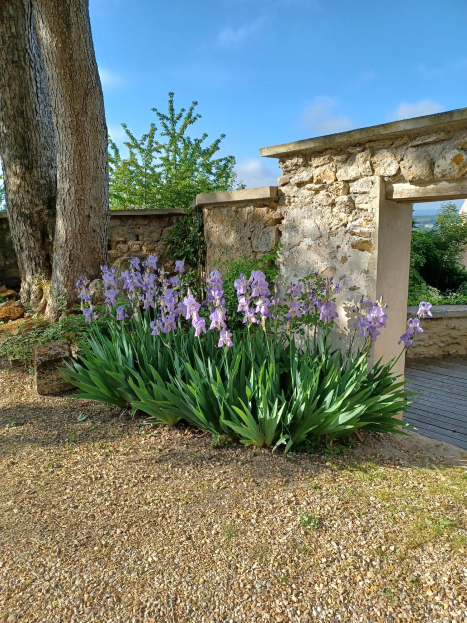 Le Verger Vaux-Sur-Seine Exterior photo
